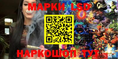 крисы Аргун