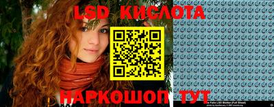 крисы Аргун