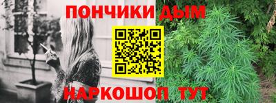 крисы Аргун