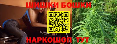 крисы Аргун