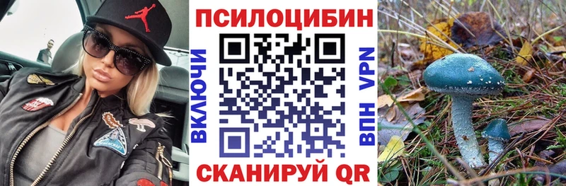 Псилоцибиновые грибы Psilocybine cubensis Канаш