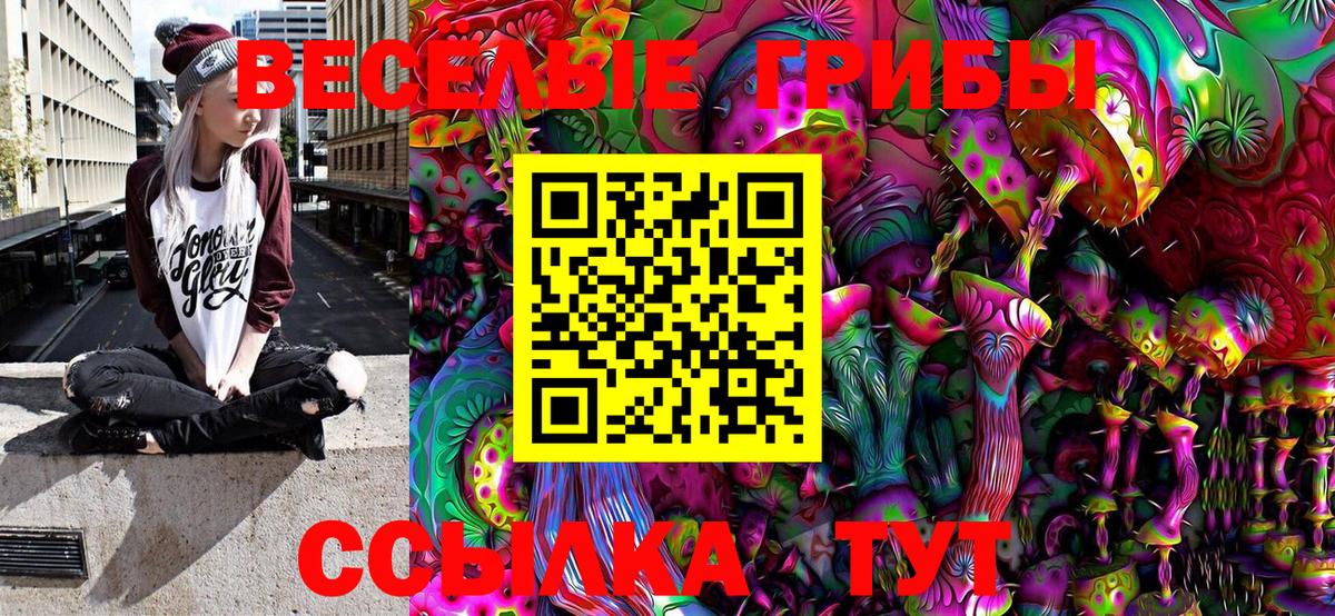 Псилоцибиновые грибы Psilocybine cubensis  Галлюциногенные грибы Cubensis  Канаш  Вход с VPN 