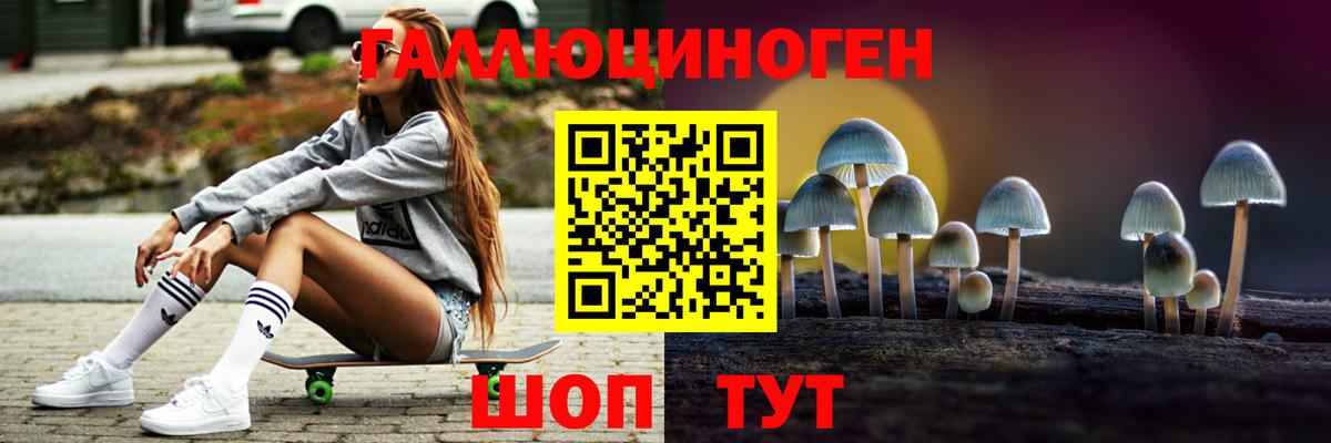 Галлюциногенные грибы Psilocybine cubensis Канаш